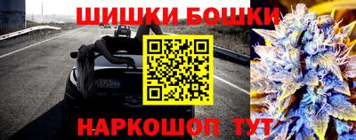 молекула духа Новодвинск