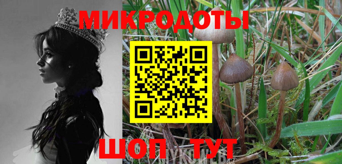 Галлюциногенные грибы ЛСД  Вход с VPN  Псилоцибиновые грибы Cubensis  Тимашёвск 