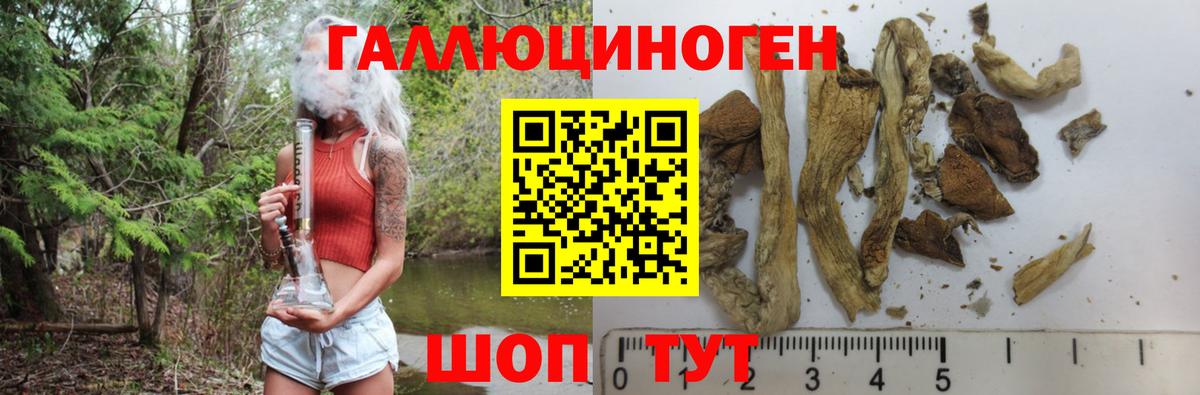 Псилоцибиновые грибы MAGIC MUSHROOMS Тимашёвск
